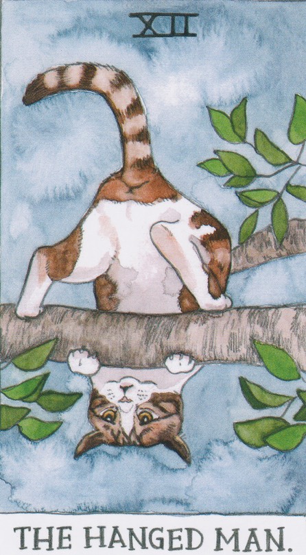 Hanged Man Cat Tarot Feb 2020 Treview 20200117 0001