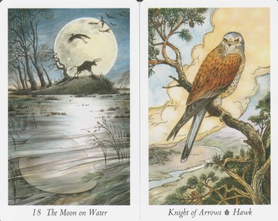 The Moon and the Knight of Arrows Wild Wood Tarot July 2019 20190611 0001