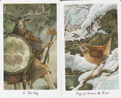 The Stag and the Page of Arrows Wild Wood Tarot July 2019 20190611 0001