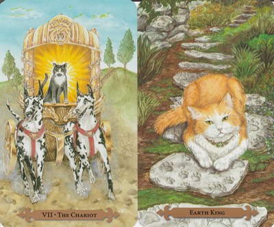 Aries Mystical Cats Tarot 2018 TS 20180722 0001