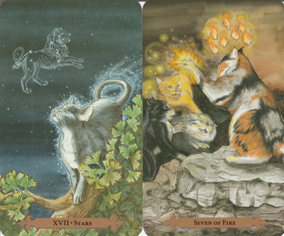 Cancer 2019 Mystical Cats Tarot 20190725 0001